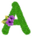 3D Ã¢â¬ÅGreen grass leaves and purple flowersÃ¢â¬Â creative decorative natural Letter A, Character A isolated in white background.